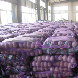 10kg síťový sáček značky česneku pro velkoobchodní prodej na izraelském trhu