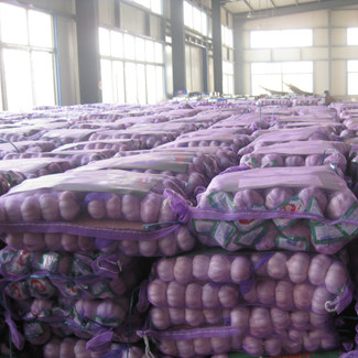 10kg Net Bag Garlic Brand for Israel Market Wholesale