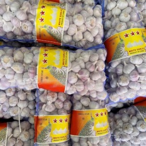 20kg bags garlic for Congo