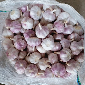 4.5-6.0 センチメートル 20 キロドバイ白ニンニク価格中国新鮮な野菜ニンニク卸売インドネシア市場パキスタン市場