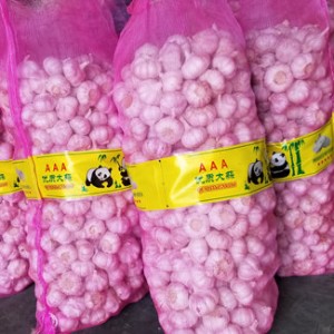 20kg Mesh Bag White Garlic for Indonesia Malaysia Thailand From China Factory