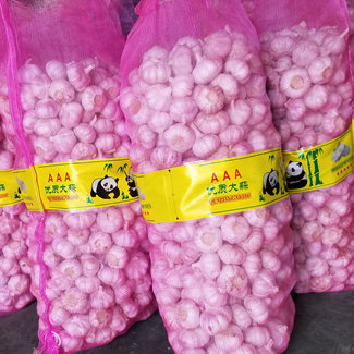 20 kg nätpåse vit vitlök för Indonesien Malaysia Thailand från Kina Factory