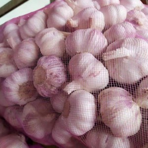 4,5-5,0 cm 20kg Mesh Bag Garlic Seeds Not Black Garlic Προμηθευτής