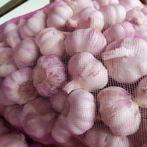 4.5-5.0cm 20kg Mesh Bag Garlic Seeds Not Black Garlic Supplier