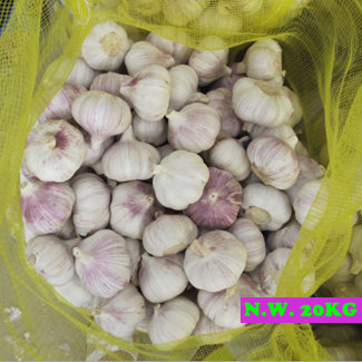 Aglio bianco fresco da 4,5-5,0 cm confezionato in sacchi a rete da 10 kg e 20 kg