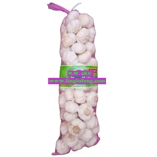 Fresh Pure White Garlic Best Quality 4kg Mesh Bag for Wholesale Chinese White Garlic