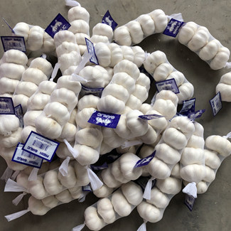 Ail blanc neige neuf en usine de 5,5 cm dans un sac en filet de 200 g à vendre