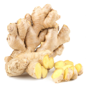 New Crop Fresh /Dry Ginger of Factory Supplier