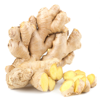 New Crop Fresh /Dry Ginger of Factory Supplier