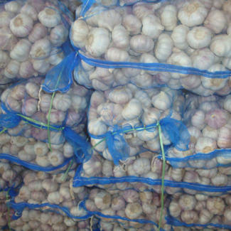 Massesalg af højkvalitets afgrøde af frisk hvid hvidløg til lav markedspris