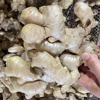 Air Dried Ginger Crop 2023 to Georgia