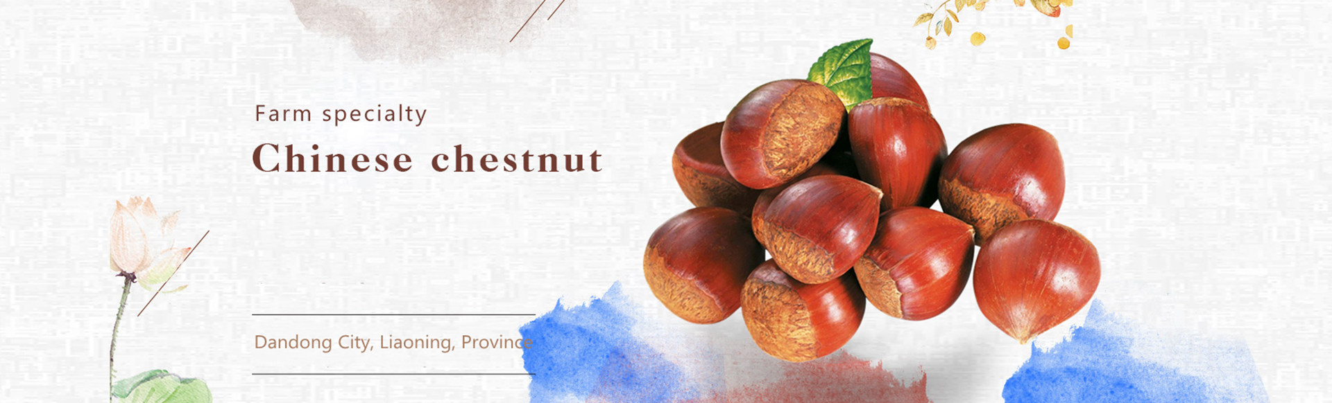 Ny Crop Dandong Fresh Chestnut med storlek 40/50/60