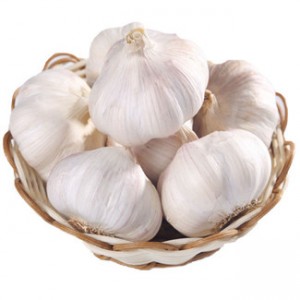 Buy Garlic in One Ton