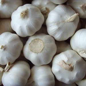 4.5cm 5.0cm 5.5cm up pure white garlic