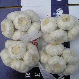 wholesale china pure white garlic