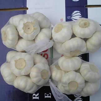 velkoobchod v Číně čistě bílý česnek