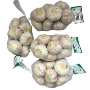 Cheapest China Fresh 3p Pure Normal White Dried Garlic
