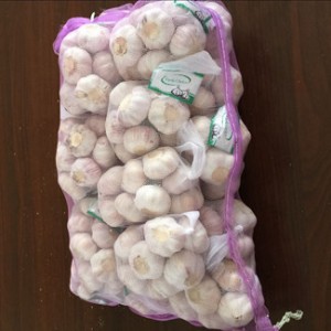 China Normal White Garlic Garlic Cloves Garlic Bulb Top Quality Low Price Manufacturer