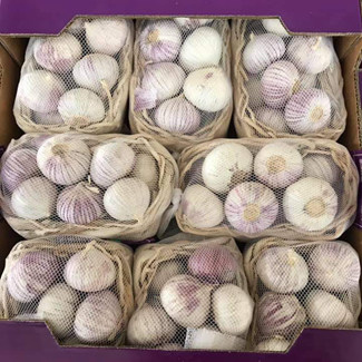 Bulbos de alho orgânico da China para venda