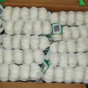 China White Garlic 250g/bag