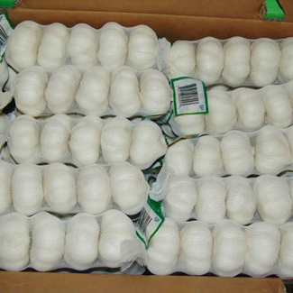 China Weißer Knoblauch 250g/Beutel