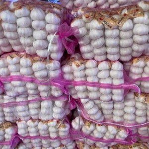 chinese garlic suppliers