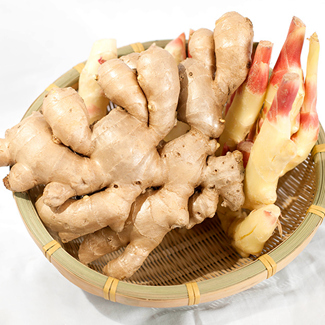 Competitive Price Good Quality Fresh Air Ginger