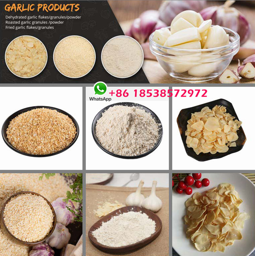 dehydrated-garlic-products-830