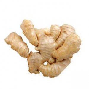 All kinds of dried ginger
