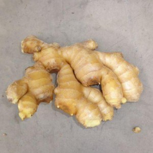 Factory Price Ginger Chinese Fresh Ginger
