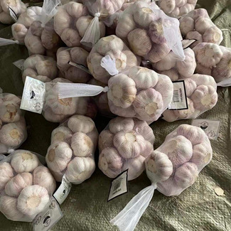 Ajo fresco 400 g/bolsa para el mercado de Fiji