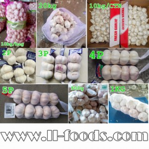 Fresh Garlic Price from China new crop