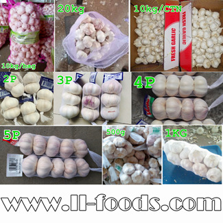 Harga Bawang Putih Segar dari China hasil panen baru