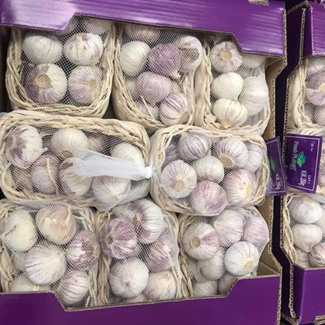 중국산 팔레트가 포함된 신선한 마늘 가격