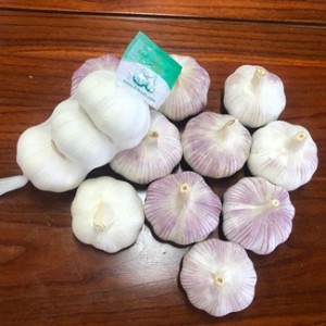 Fresh Garlic White Garlic 3p/bag