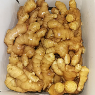 Fresh Ginger Supplier 250g i 30lb PVC Box hög kvalitet