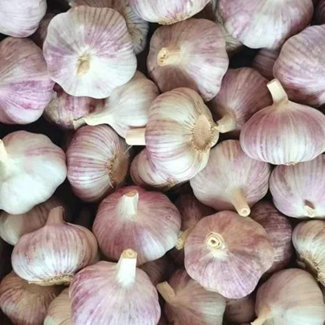 5.0 Garlic Fresh Wholesale / Ajo Al Por Mayor