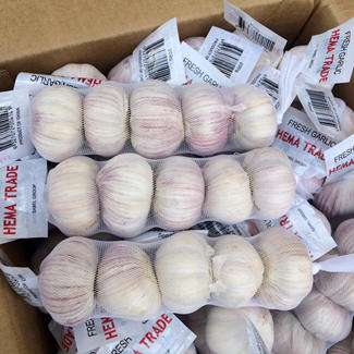 No.1 Cina all'ingrosso di aglio bianco fresco di varie dimensioni e imballaggio variabile