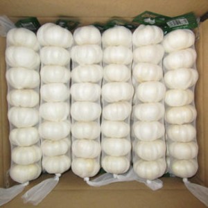 Velkoobchod Nízká cena Čínský čerstvý čistě bílý česnek prvotřídní kvality