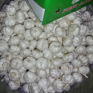 New Fresh White Garlic Exporter Χονδρική τιμή Προμηθευτές σκόρδου