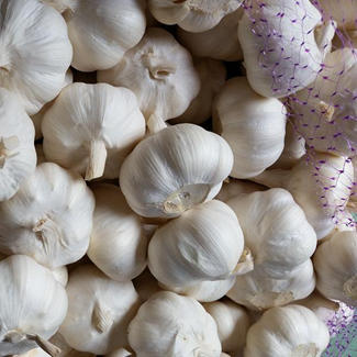 Lagerbestand an neuem Knoblauch von höchster Qualität aus dem Kühllager zum niedrigsten Preis des Lieferanten