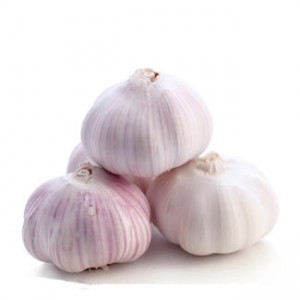 New Crop Fresh Normal White Red Chinese Garlic(6.0cm up)