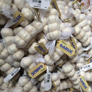 New Crop China Fresh Garlic Exported for Europe