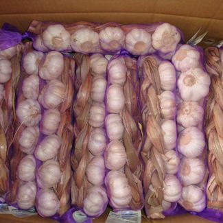 Vysoká kvalita Nízká cena přírodní čerstvé plodiny Obří pikantní a horký česnek