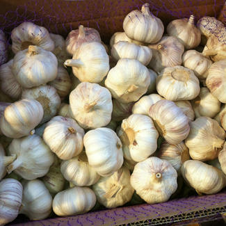 Vendita calda piuttosto secca in aglio fresco con prezzi di fabbrica