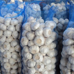 65 Fresh White Garlic Cheap Price