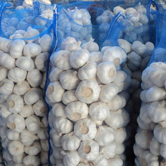 65 Fresh White Garlic Cheap Price