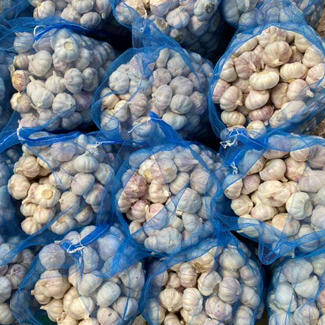 Ajos Garlic AJOS 5,5cm Διχτυωτό Τσάντα Σκόρδο Παραγουάης 18kg