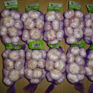 China Exporters Supply Wholesales Garlic Cloves