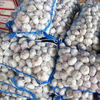 6.0-6.5cm 20kg/Tas Jaring Bawang Putih Cina Pilihan dalam Kantong Jaring ke Afrika